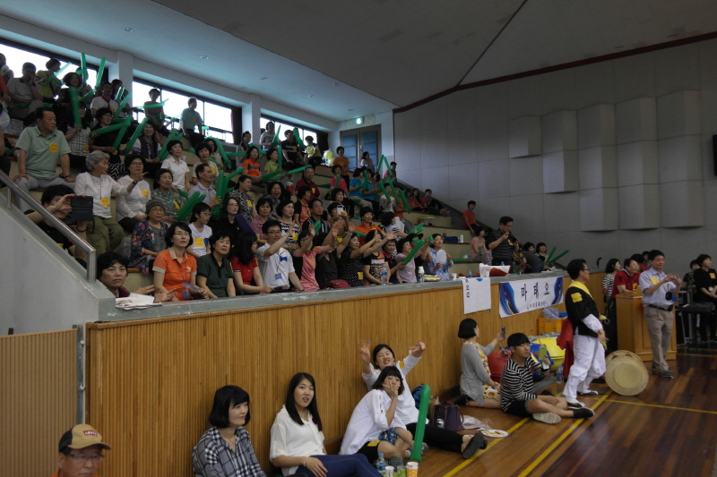 SAM_6249