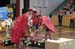 SAM_6086