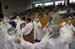 SAM_6192