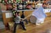 SAM_6279
