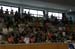 SAM_6317